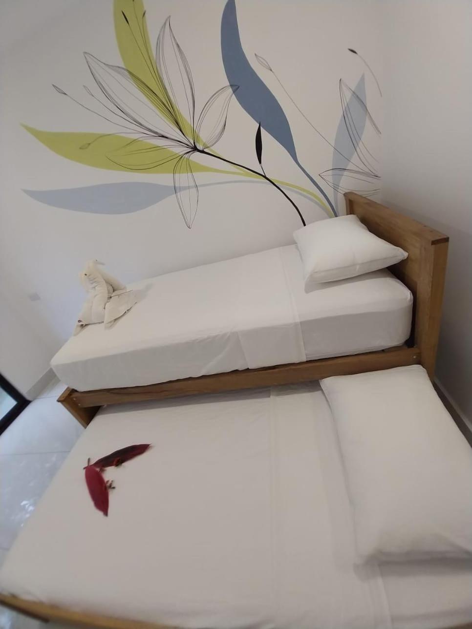 Wide Mouth Frog Quepos Hostel Manuel Antonio Εξωτερικό φωτογραφία