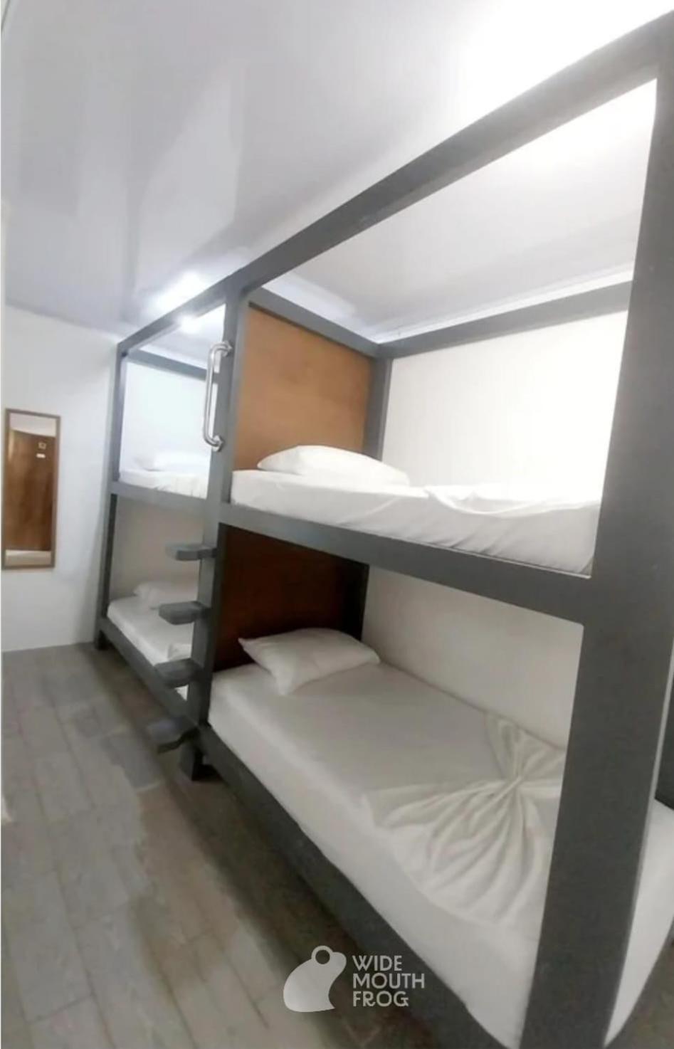 Wide Mouth Frog Quepos Hostel Manuel Antonio Εξωτερικό φωτογραφία