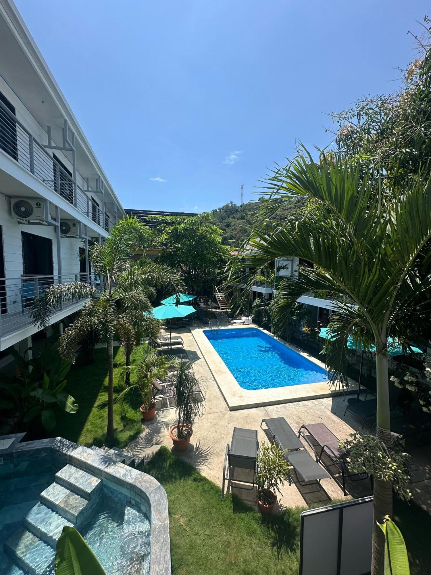 Wide Mouth Frog Quepos Hostel Manuel Antonio Εξωτερικό φωτογραφία