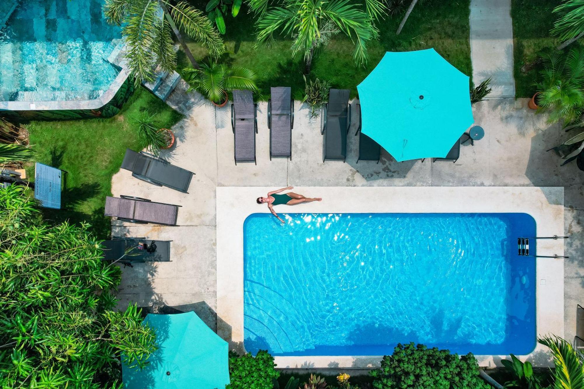 Wide Mouth Frog Quepos Hostel Manuel Antonio Εξωτερικό φωτογραφία