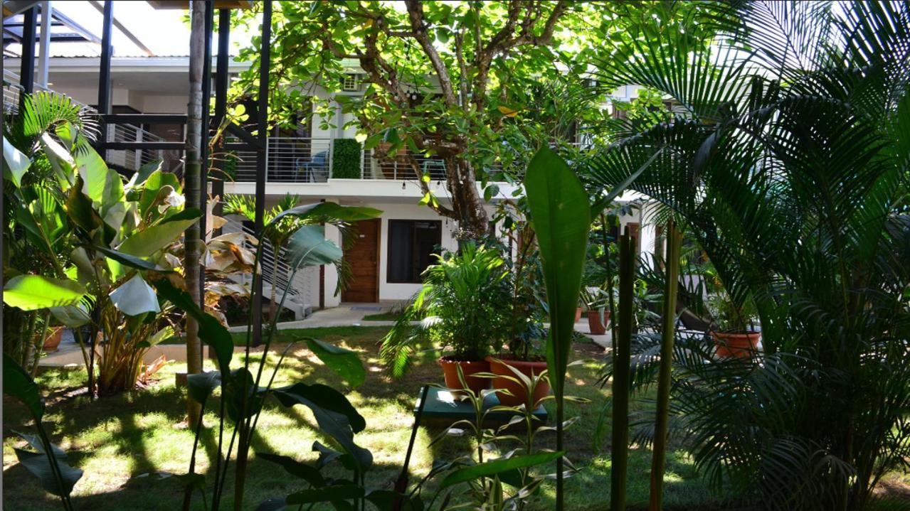 Wide Mouth Frog Quepos Hostel Manuel Antonio Εξωτερικό φωτογραφία