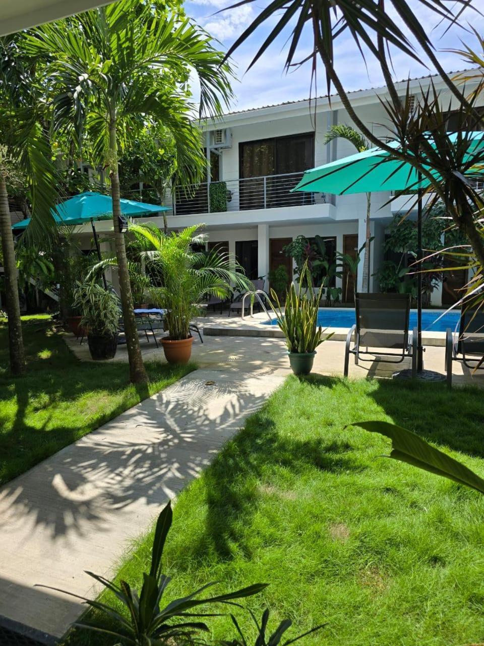 Wide Mouth Frog Quepos Hostel Manuel Antonio Εξωτερικό φωτογραφία