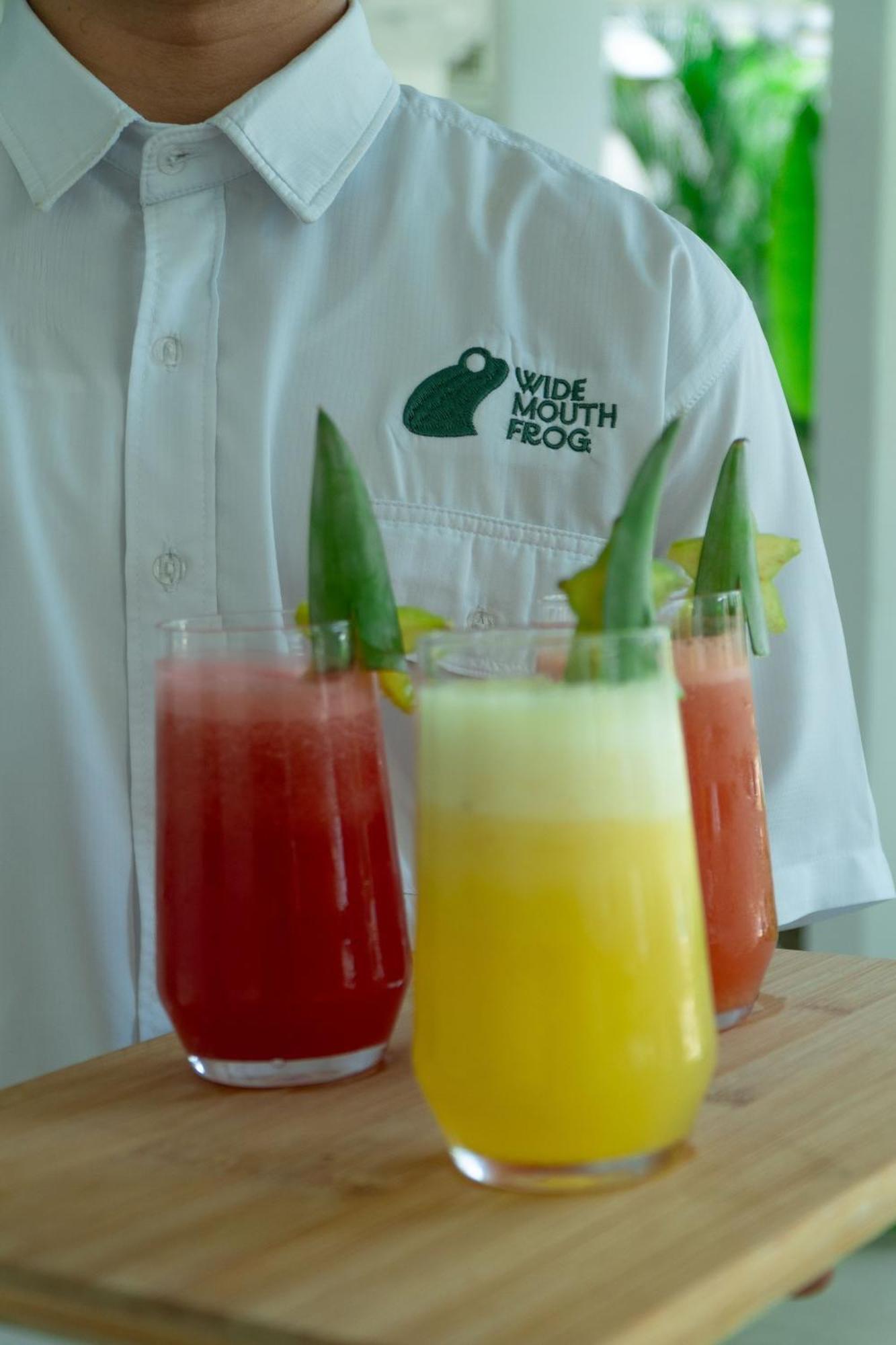 Wide Mouth Frog Quepos Hostel Manuel Antonio Εξωτερικό φωτογραφία