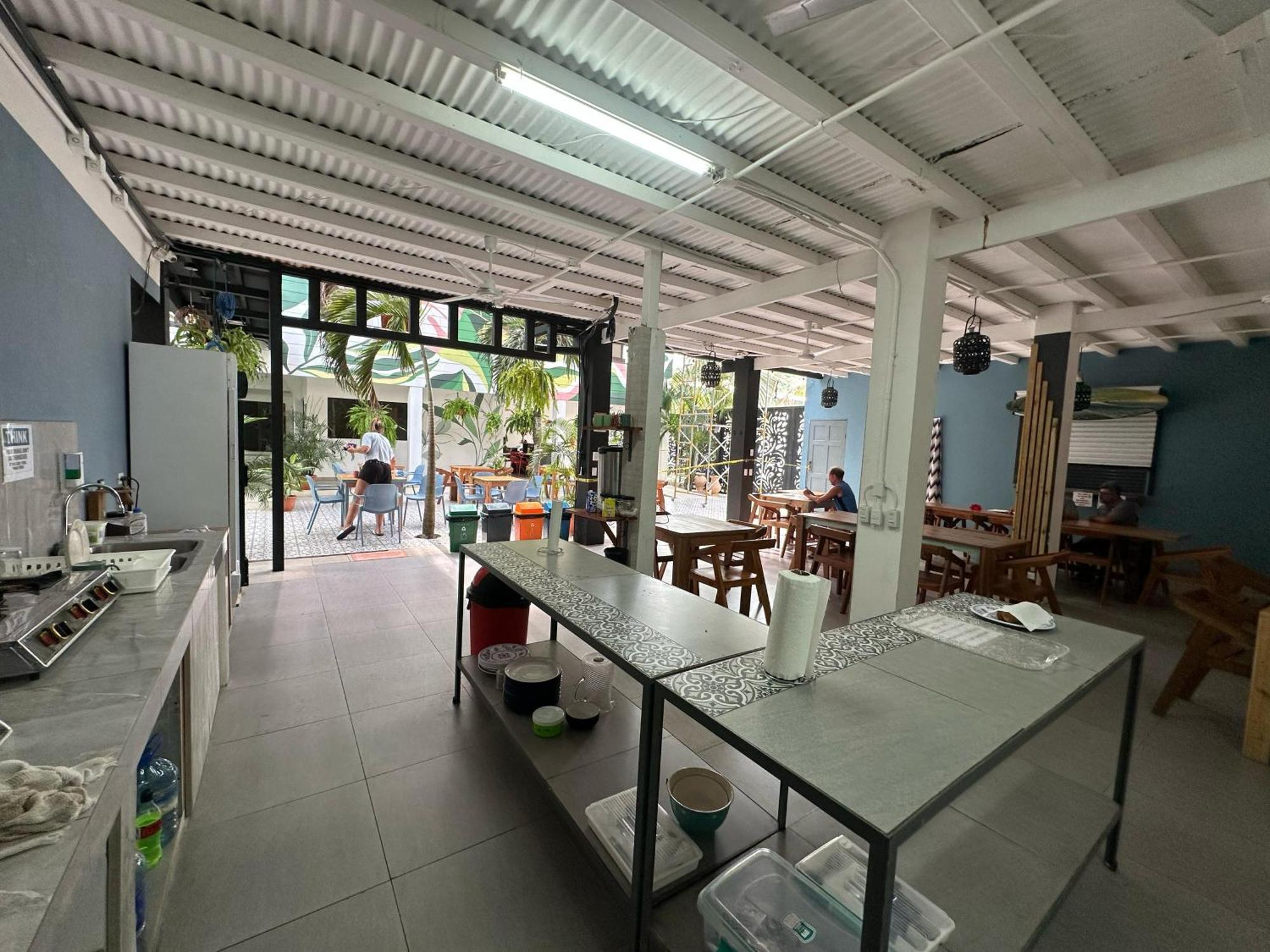 Wide Mouth Frog Quepos Hostel Manuel Antonio Εξωτερικό φωτογραφία