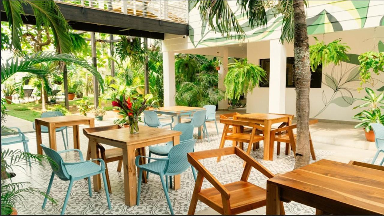 Wide Mouth Frog Quepos Hostel Manuel Antonio Εξωτερικό φωτογραφία
