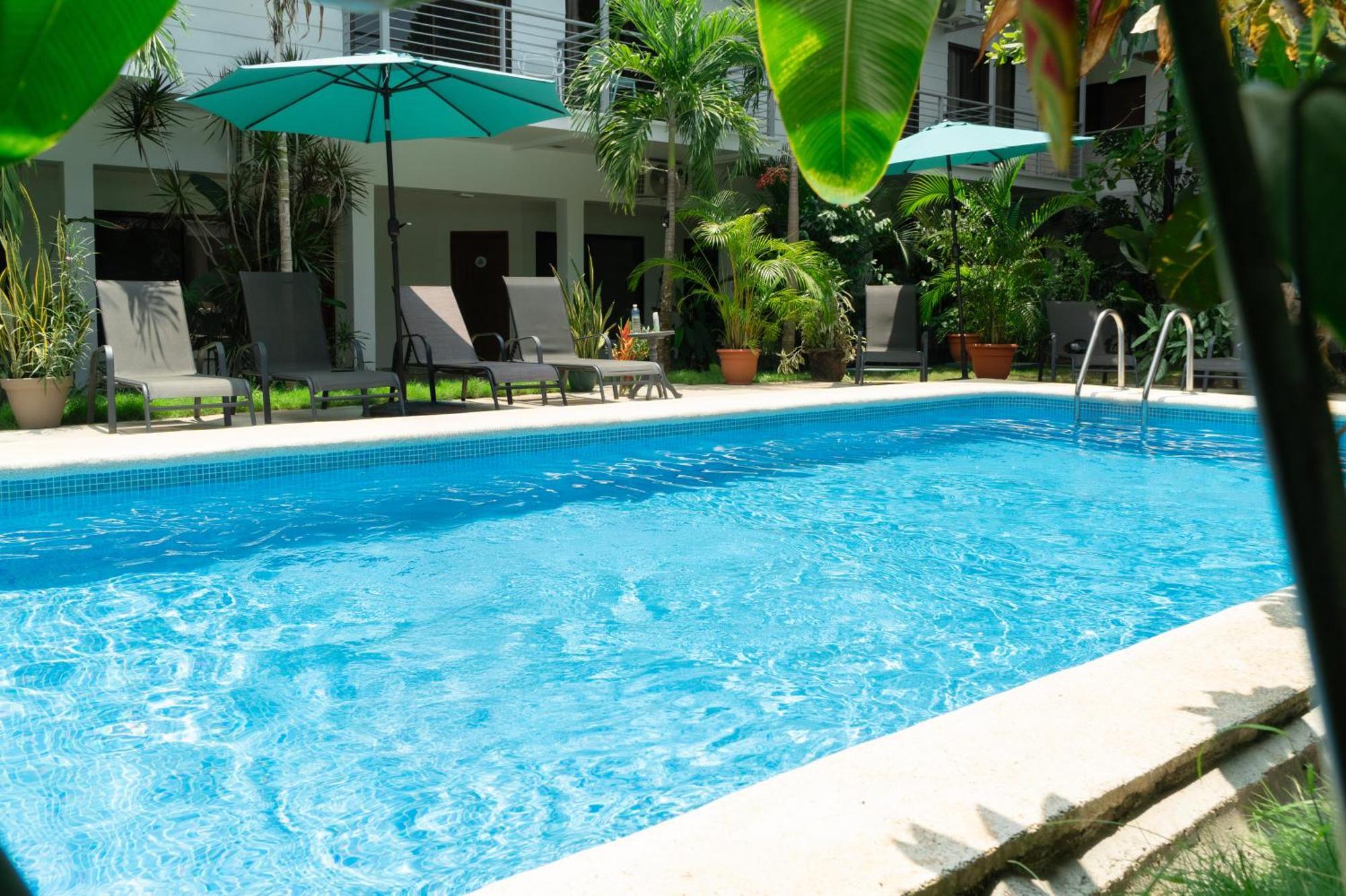 Wide Mouth Frog Quepos Hostel Manuel Antonio Εξωτερικό φωτογραφία