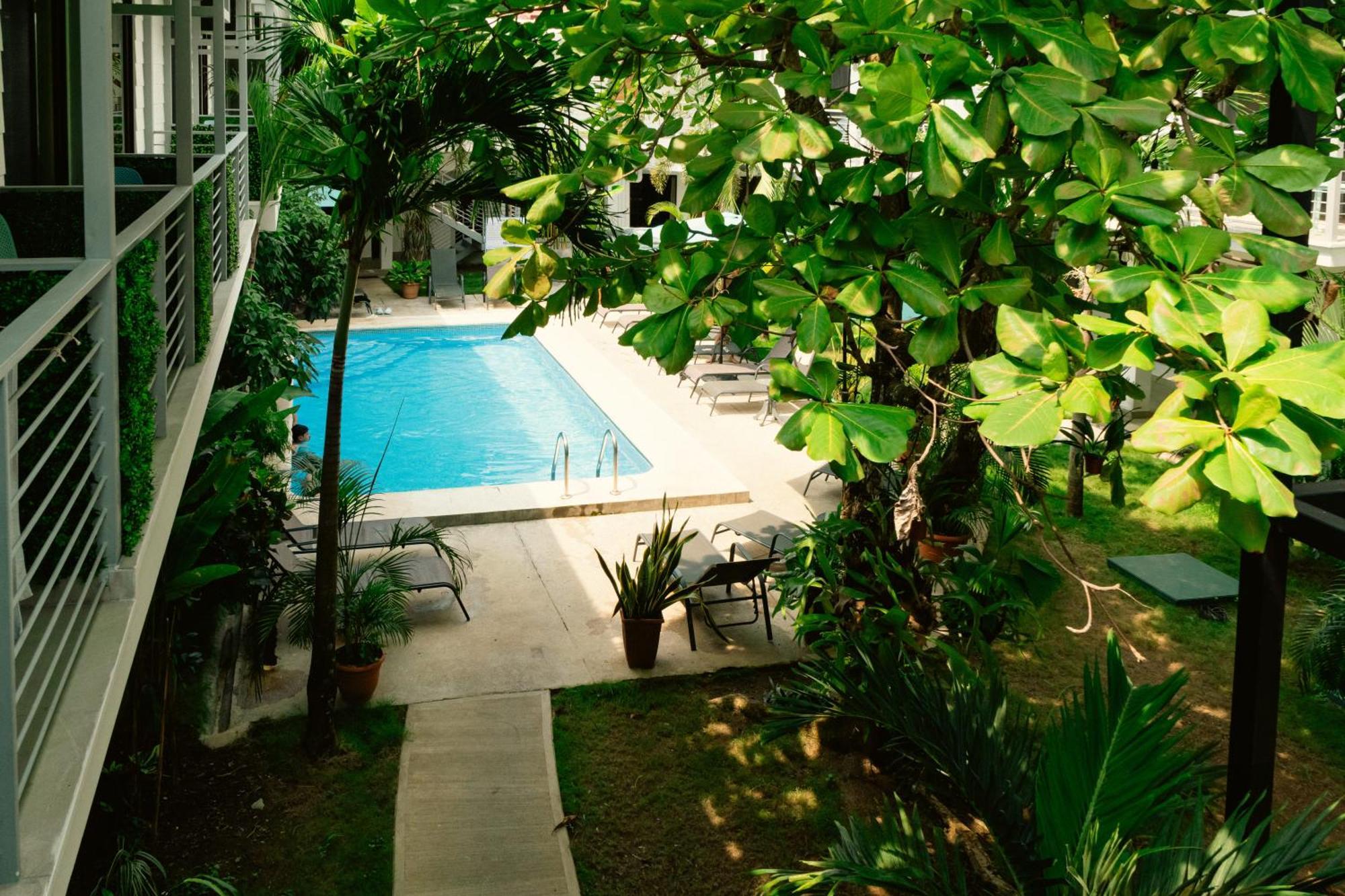 Wide Mouth Frog Quepos Hostel Manuel Antonio Εξωτερικό φωτογραφία