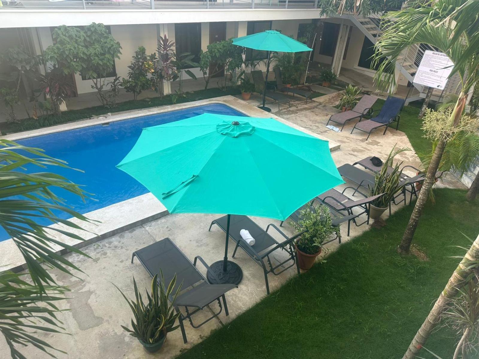 Wide Mouth Frog Quepos Hostel Manuel Antonio Εξωτερικό φωτογραφία