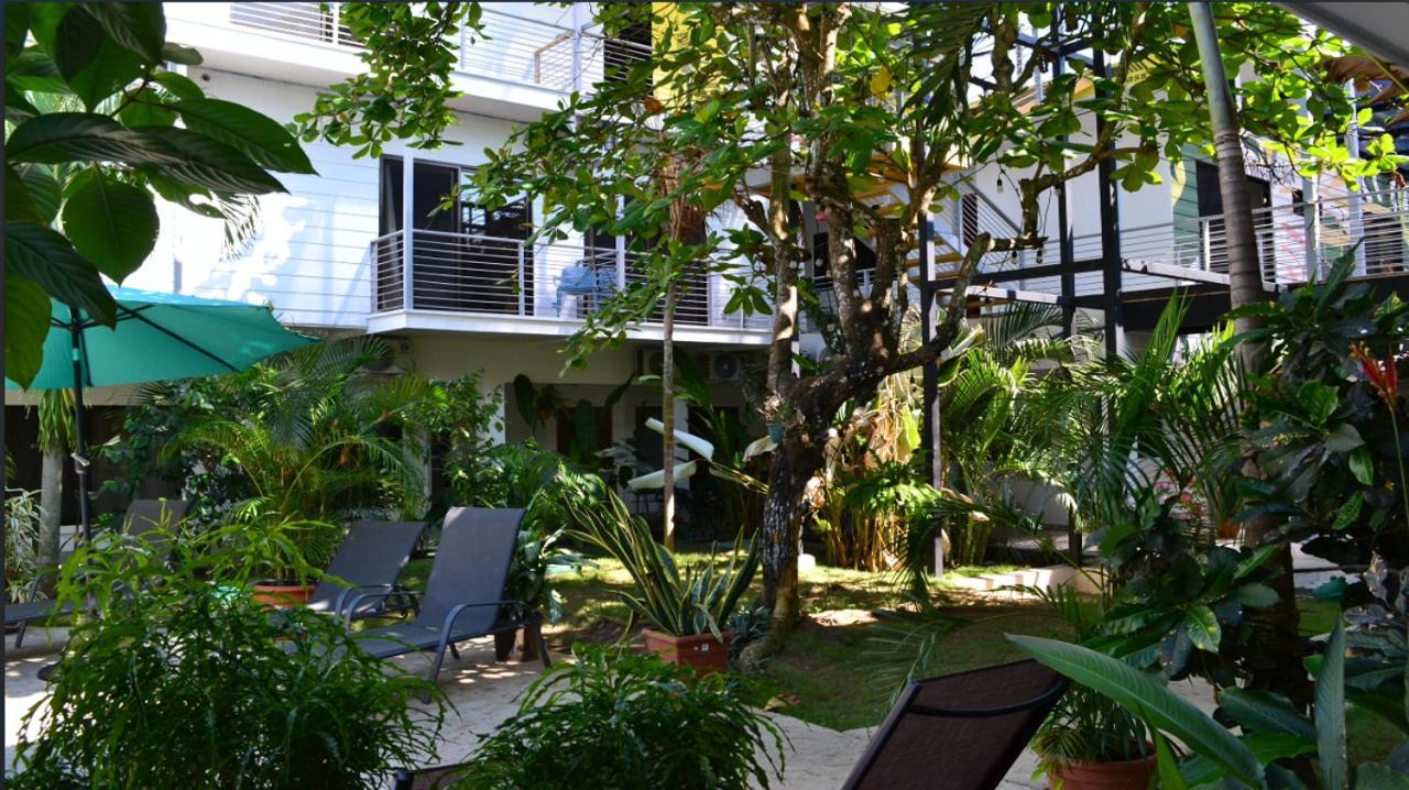 Wide Mouth Frog Quepos Hostel Manuel Antonio Εξωτερικό φωτογραφία